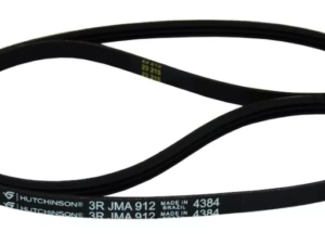 CORREIA SUGGAR ALELUIA/GENESIS/GENEAL